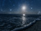 La stella del mare