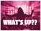 WHAT'S UP??