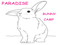 Paradise Bunny Camp Paradise Bunny Camp