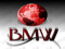 BMW -Black Men & Women of SL BMW -Black Men & Women of SL