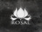 ROSAL Updates