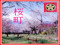 Sakuramachi Sakuramachi
