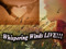 Whispering Winds Live