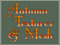 Autumn Textures Autumn Textures
