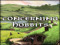 Concerning Hobbits