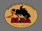 Second Life Rodeo Association Second Life Rodeo Association