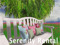 SERENITY RENTALS SERENITY RENTALS