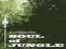 SOUL of JUNGLE SOUL of JUNGLE