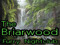 The Briarwood The Briarwood