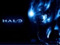 Halo os (SL)