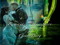 Romantic Atmosphere Garden Romantic Atmosphere Garden