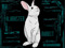 ***DJ BOOTSTRAP BUNLINGS*** ***DJ BOOTSTRAP BUNLINGS***