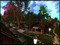 Dracena Market Dracena Market
