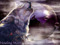 *Howling Moon Auction House*