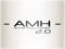 AMH 2.0 - Management