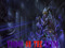 Voodoo on the Bayou