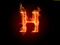 .: HancocK HouseguesT :.