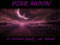 Pink  Moon The S/L tribute band thats outa this world
