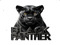 ::Black Panther::
