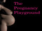 The Pregnancy Playground The Pregnancy Playground