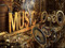 THE LIVE MUSIC COMMUNITY 
