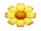 <<| NEO TROPICAL |>>