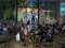 Cafe Musique- Live Music Cafe Musique- Live Music