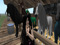 SL Breedable Traders SL Breedable Traders