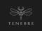.TENEBRE.