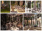 Evergreen Valley Wedding Venue / Rentals and Weddings