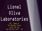 slmt.blogspot.com & Lionel Oliva Laboratories Gadgets & Avatars