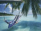 Beach-bums Beach-bums
