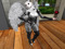 Pet Owl Pet Owl