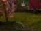 FOR SALE !!Hypnotic - Romantic Island 'Established Since 2012' FOR SALE !!Hypnotic - Romantic Island 'Established Since 2012'
