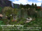 Woodland Valley