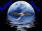 Sultry Moon