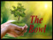 The Bowl