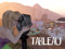 Tableau