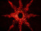 -Black Sun Tabernacle- & Kairos Island -