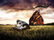 Red Barn Meeroo's Red Barn Meeroo's