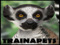 Zooby's TRAINAPETS