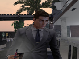 profile picture parcel-second-life