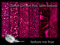 Texture Me True 