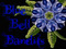The Blue Bells