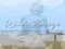 Wild Breeze