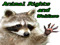 Animal Rights and Welfare