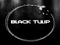 :: Black Tulip ::