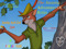 The Amazing Adventures of Robin Hood The Amazing Adventures of Robin Hood