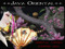 Java Oriental Island