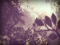 The Chapter Four (chapter 37)